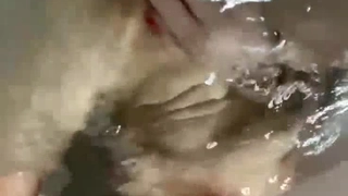 时尚性感的气质美女援交中年男被迫口交,鸡巴太长美女实在口不下去了说：要知道这样就不来了.男的各种姿势狠狠操她逼!~1